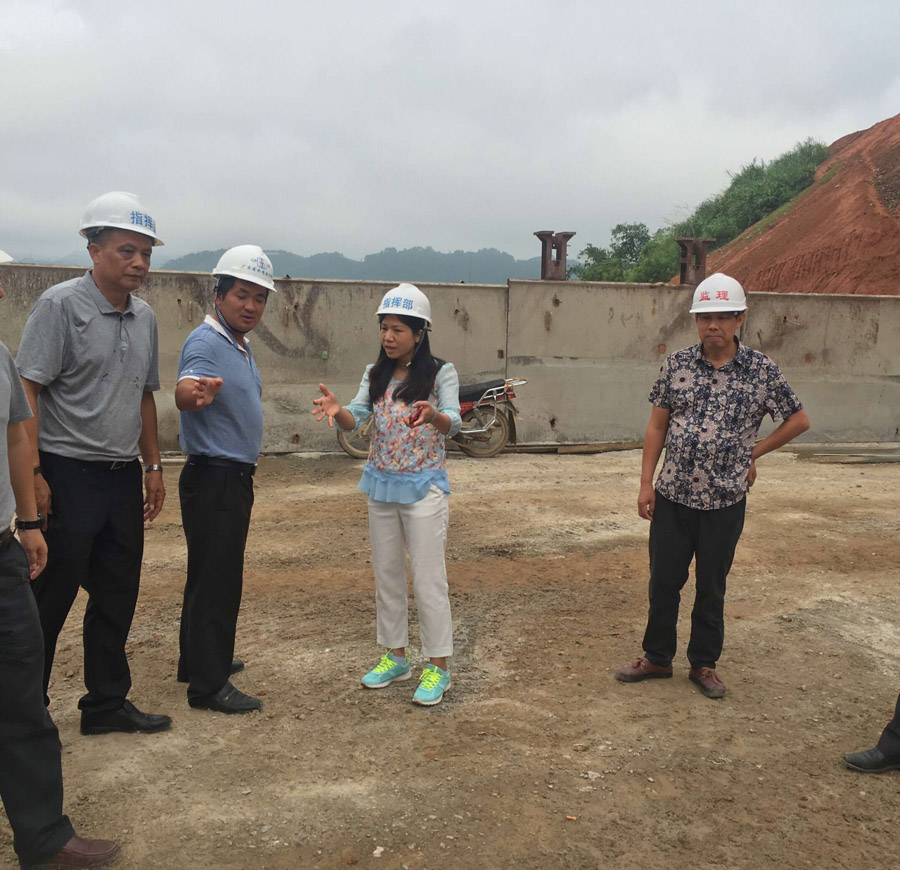 县长冯红云督查德建水库工程安全生产及项目推进工作