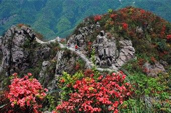 金子山旅游风景区