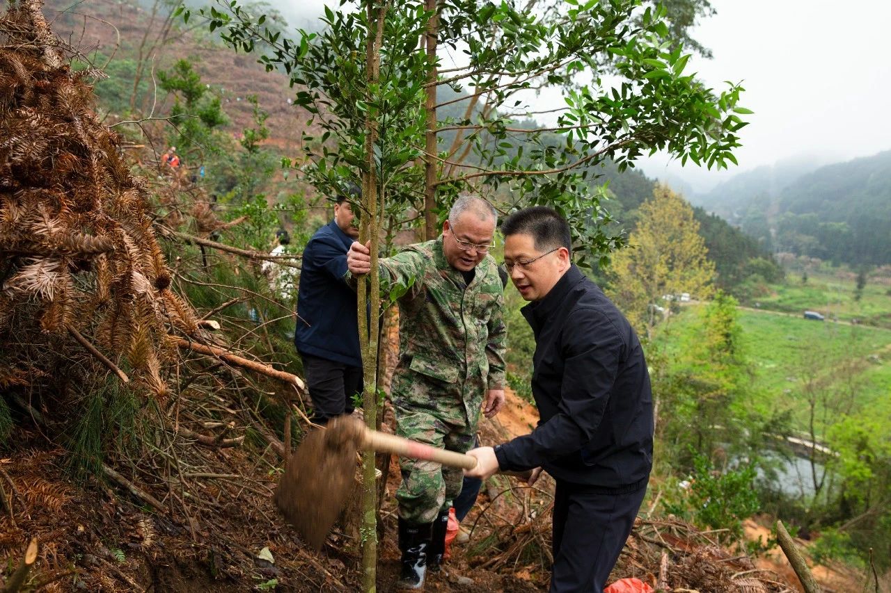 绿美连山丨植树添绿正当时 连山四套班子领导带头义务植树