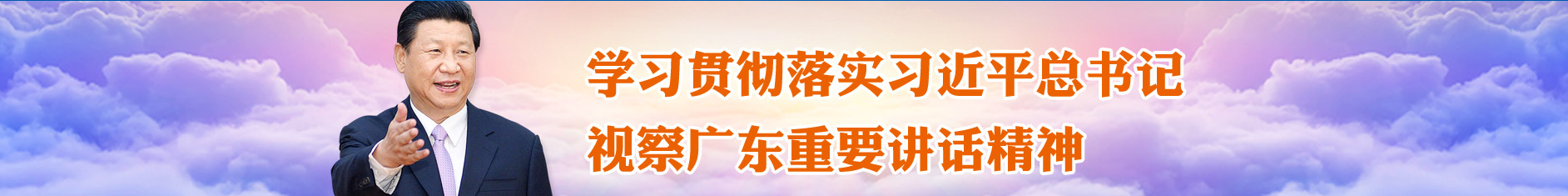 学习贯彻落实习近平总书记视察广东重要讲话精神