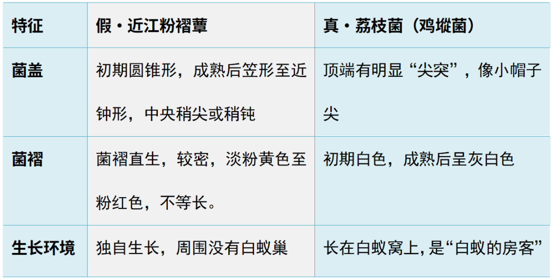 4723803 (1).png