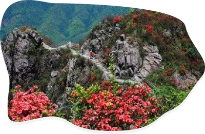 连南概览